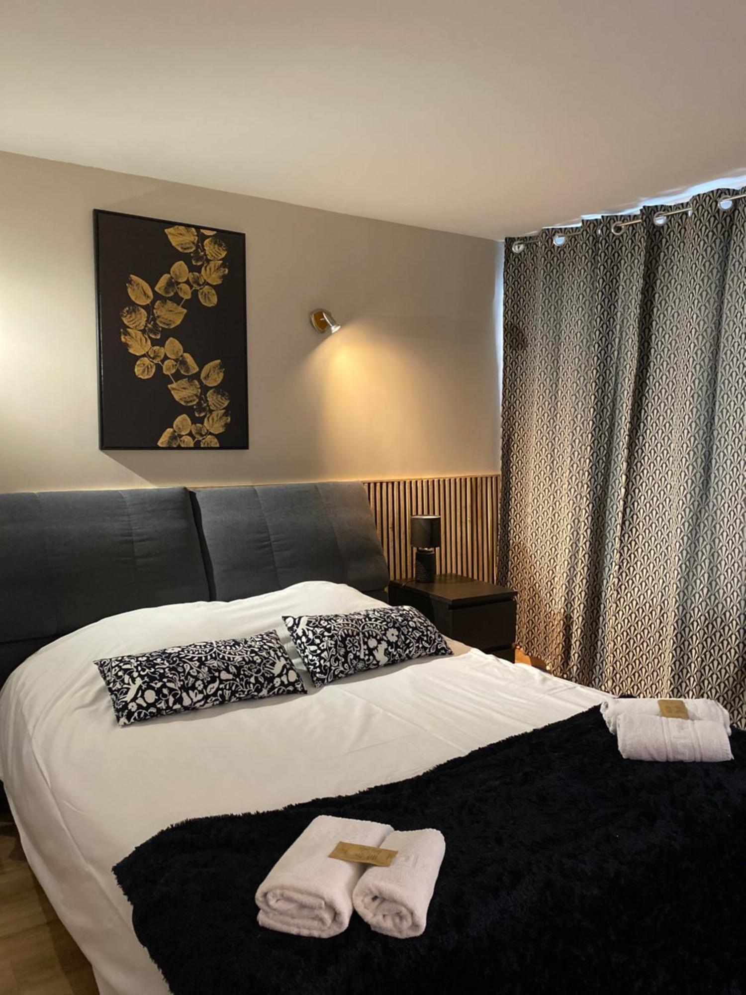 Hotel Des Beaux Arts Chambéry Buitenkant foto